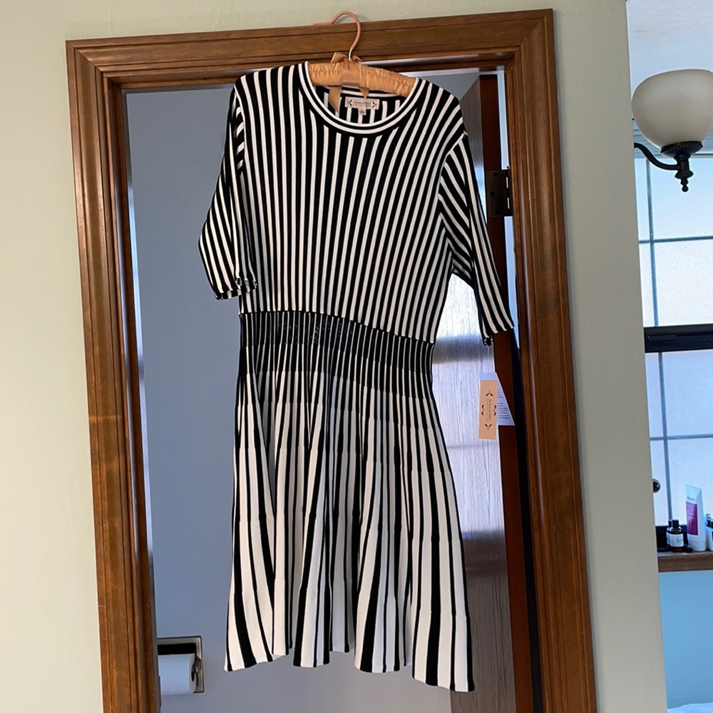 Nanette black and white dress